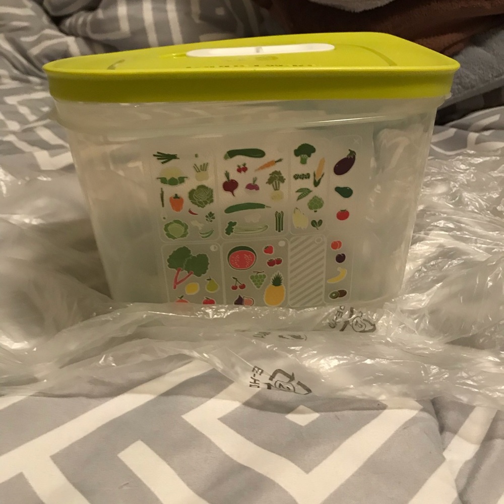 Tupperware Fridesmart